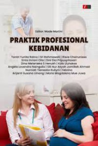 Image of Praktik Profesional Kebidanan